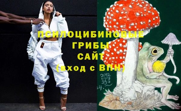 хмурый Алексин