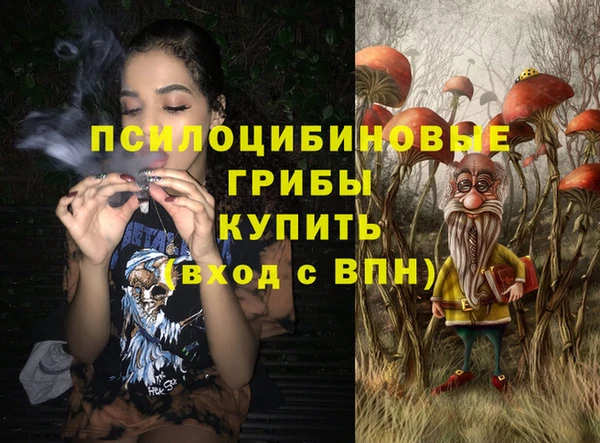 хмурый Алексин
