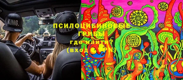 молекула духа Алексеевка