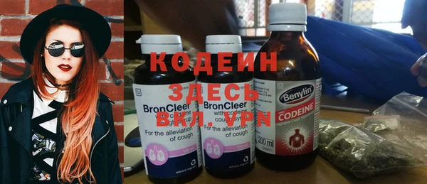 хмурый Алексин